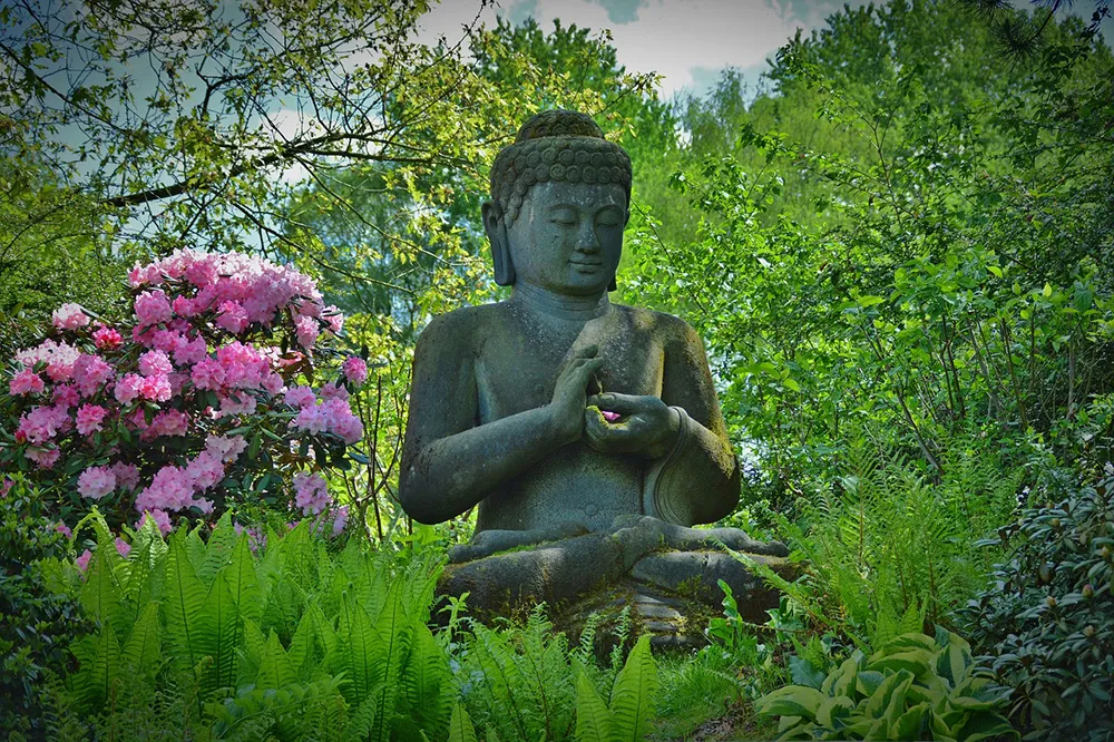 Auf einer Wiese vor der Praxis Larimar steht eine Buddha Statue.